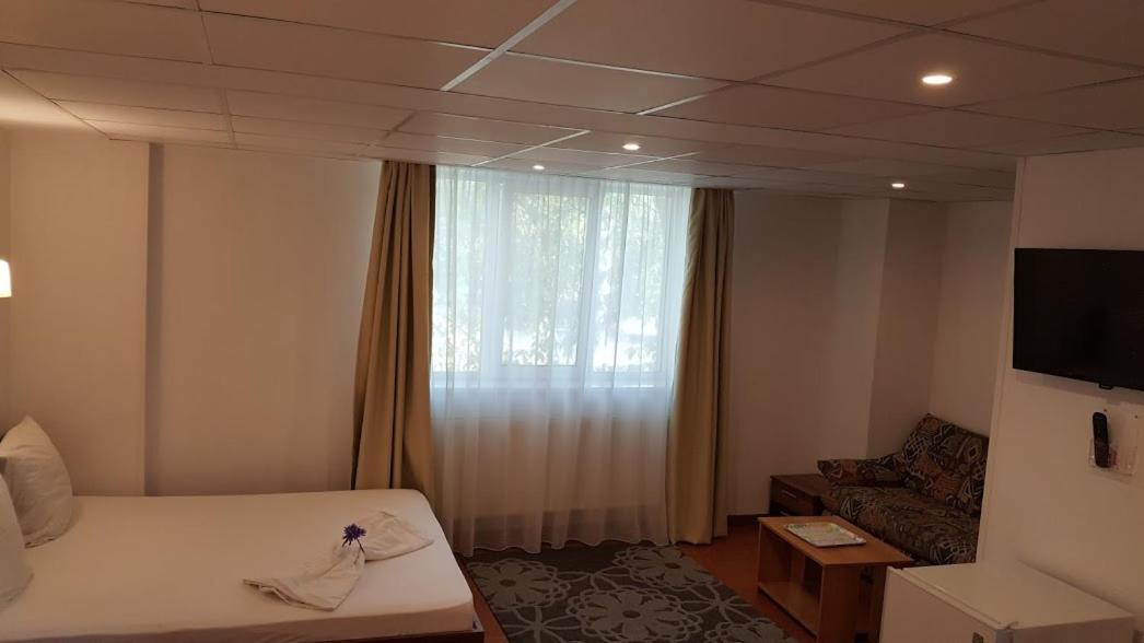 Hotel Viva 普洛耶什蒂 外观 照片