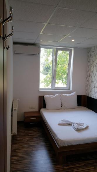 Hotel Viva 普洛耶什蒂 外观 照片