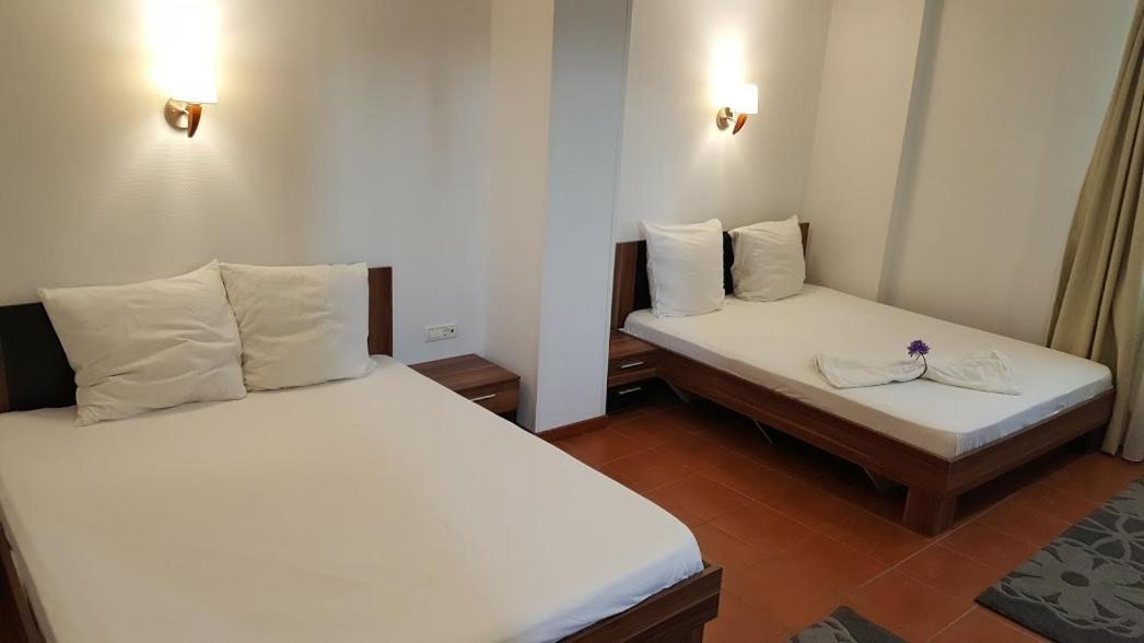 Hotel Viva 普洛耶什蒂 外观 照片